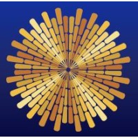 Radiation Oncology Associates of Northern Virginia Logo