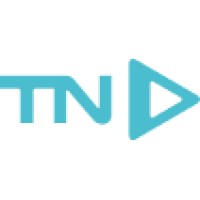 T.N. Information Systems Logo