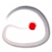 Woodenfish Foundation Logo