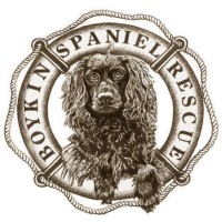 Boykin Spaniel Rescue, Inc. Logo