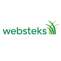 Websteks Logo