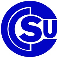 Cecchin Logo