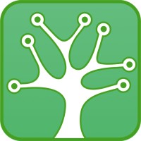 APIS NETWORKS, INC. Logo
