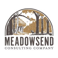 MEADOWSEND TIMBERLANDS LTD Logo
