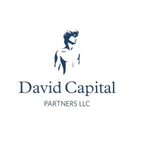 David Capital Partners, LLC Logo