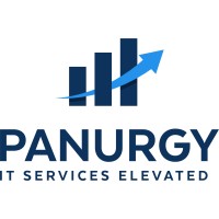Panurgy - IT Business Solutions Logo