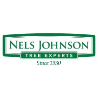 Nels Johnson / SavaTree Logo
