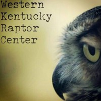 WESTERN KENTUCKY RAPTOR CENTER Logo