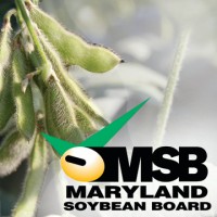 MARYLAND SOYBEAN BOARD Logo