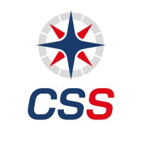 CSS Logo