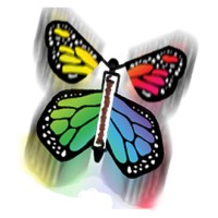 Butterflyers Logo