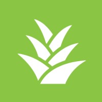 PINEAPPLE FARMS REAL ESTATE Logo