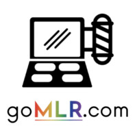 go MLR, Experience Agency Logo