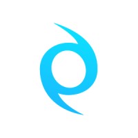 Netstorming • Travel technology company Logo