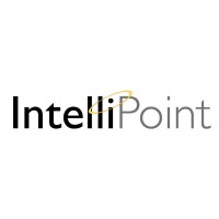 IntelliPoint Consulting, Inc. Logo