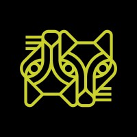 Blame Your Brother Animation Studio Logo