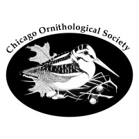 Chicago Ornithological Society Logo
