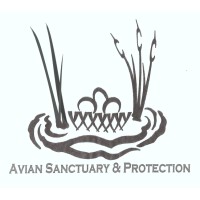 AVIAN SANCTUARY AND PROTECTION Logo