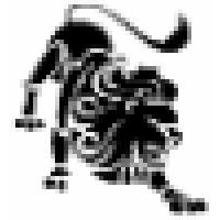 Aslan International Foreign Trade and Consulting Inc. Logo