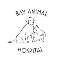 Bay Animal Hospital Logo