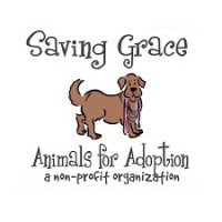SAVING GRACE ANIMALS FOR ADOPTION INC Logo