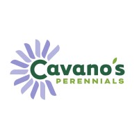 Cavanos Perennials, Inc. Logo