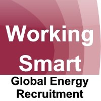 Working Smart Ltd Logo