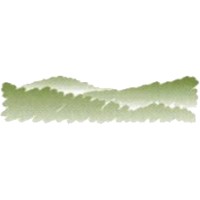 Hickory Dentist Logo