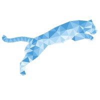 Blue Tiger Recovery, Inc Logo