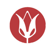 PARKINSON ASSOCIATION OF ALABAMA Logo
