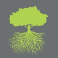 Healthy Foundations Group Logo