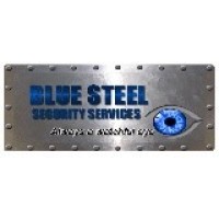 BLUE STEEL SECURITY SERVICES L.L.C. Logo