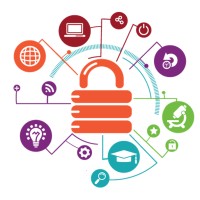 Practical Insight, LLC Logo