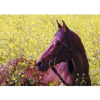 Hanaeleh Horse Rescue and Advocacy Logo