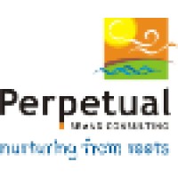 Perpetual Brand Consulting Logo