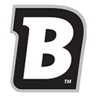 Blichmann Engineering Logo