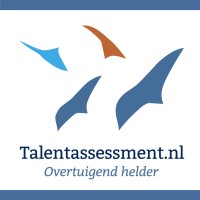 TalentAssessment.nl Logo