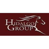 Hidalgo Group, LLC Logo