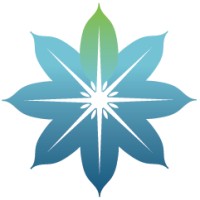 Salience TMS Neuro Solutions, LLC Logo