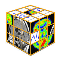 COGNITIVE NEUROSCIENCE SOCIETY Logo