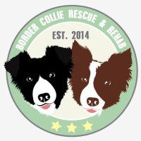 Border Collie Rescue & Rehab Logo
