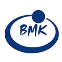 BMK Professional Services Logo