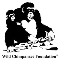 Wild Chimpanzee Foundation Logo