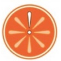 Orange Slice Training + Coaching Logo