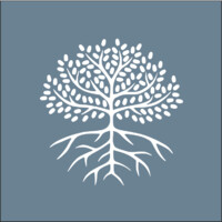 NoVo Foundation Logo