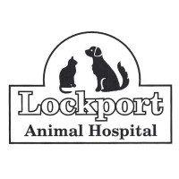 LOCKPORT ANIMAL HOSPITAL, P.C. Logo