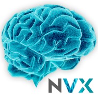 NeuroVox Logo