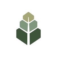 Acceleration Strategy Inc Logo