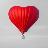 McKenzies Chartered Accountants Logo