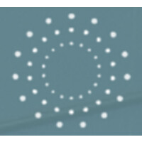 Streams Media Inc Logo